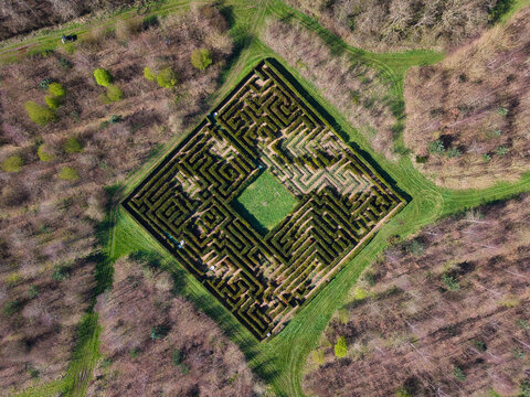 Aerial view of a meticulously crafted hedge maze, its verdant walls contrasting with the surrounding bare trees, creates an intriguing puzzle from above, Stafford, England, United Kingdom.