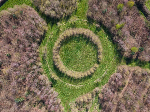 Aerial view of the verdant circle, encircled by a ring of trees, surrounded by the earthy tones of the forest, Stafford, England, United Kingdom.