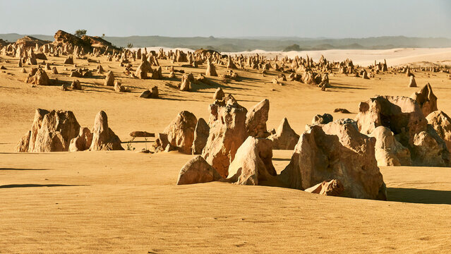 pinnacles in the desert of nambung national park, australia 871