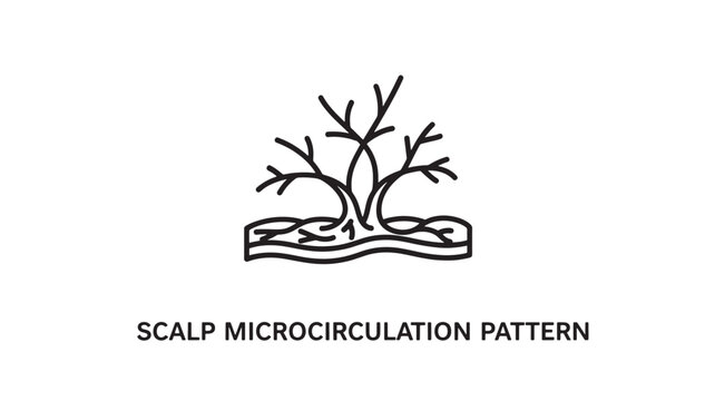 Minimalist vector illustration depicting scalp microcirculation, ideal for healthcare, wellness, trichology, and educational materials on hair growth and blood flow.