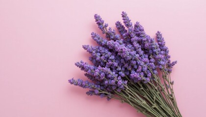 Fototapeta premium Lavender Bouquet Arranged on Soft Pink Background for a Fresh and Soothing Aesthetic Appeal