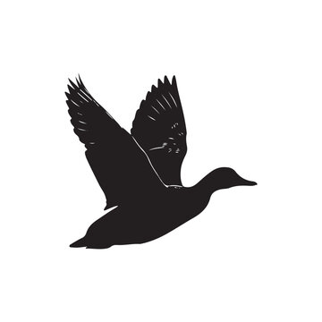 Animal Duck Wildlife Graphic, Flying Duck Vector Art Design