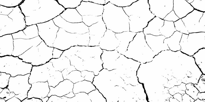 Dry cracked earth and rough tree bark texture pattern in brown and white tones