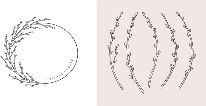 Graceful Botanical Illustration Featuring Pussy Willow Sprigs and a Branch Wreath, Capturing the Essence of Spring Awakening