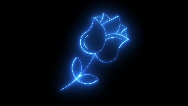 glowing neon rose icon isolated on black background. Flower animation. 4k video animation.