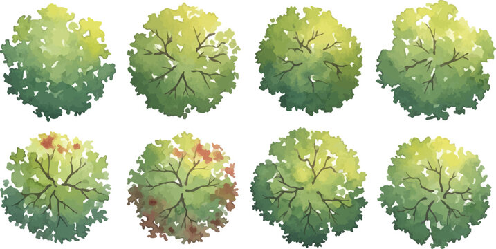 Watercolor architectural tree symbols for site plan design, collection of 8 green top view landscape trees, hand drawn garden vegetation icons for masterplan rendering isolated PNG with