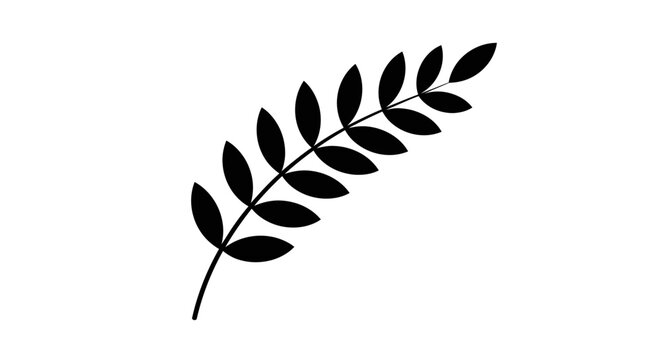 Isolated Leaf Frond On White Background.