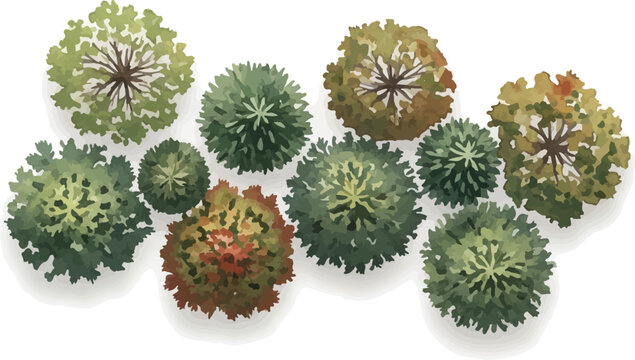 Watercolor architectural trees in plan view, set of 10 green and autumn foliage plant symbols for site mapping, top down landscape design elements for garden master plans isolated PNG with