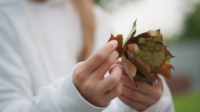 White child hands holding autumn leaves closeup, fingers gently separating textured brown and green foliage on lap, cozy sweater visible, young explorer arranging pile, outdoor garden background