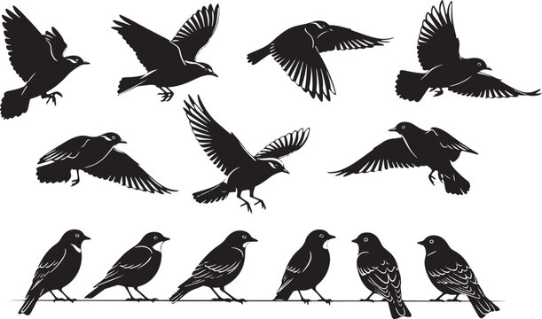Set of bird silhouettes including eagles and other flying birds in a simple vector collection