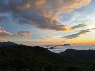 Obraz premium Early Morning Light Over Forested Mountains and Sea of Clouds