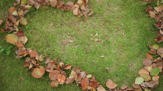 Heart shape of leaves on grass, delicate ring of brown autumn leaves arranged into heart on green lawn, overhead perspective with soft sunlight, rustic textured composition evokes romantic nostalgia