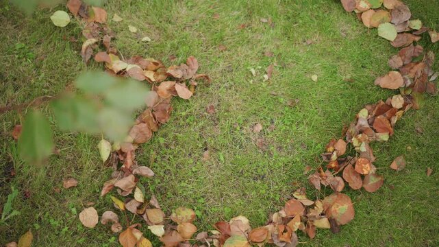 Aerial heart of leaves on grass, overhead view of curved leaf ring on green lawn with subtle branch blur in foreground, warm autumn tones and handcrafted land art suggesting romance and memory, ideal