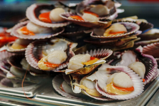 fresh scallops, Olivar market, Palma, Mallorca, Balearic Islands, Spain
