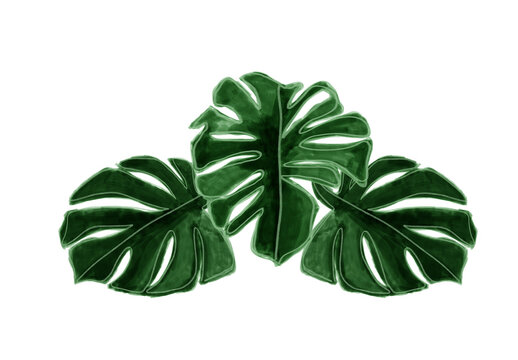 monstera plant painting decor nature