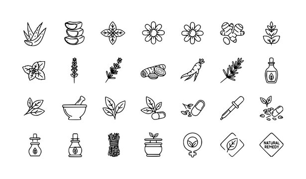 Medicinal herbs line icons set with natural healing plants aloe vera basil chamomile ginger outline vector collection