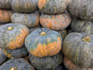 Pumpkins stacked in a farm during the autumn harvest season showcasing different colors and textures under natural light