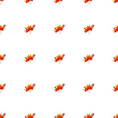 Obraz premium Seamless pattern with watercolor autumn leaves on transparent background. Features orange maple and rowan foliage in a minimalist grid layout. Hand-painted botanical illustration