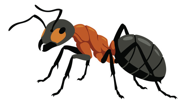 Cartoon illustration of a red and black ant depicting a side view insect character for nature and educational design