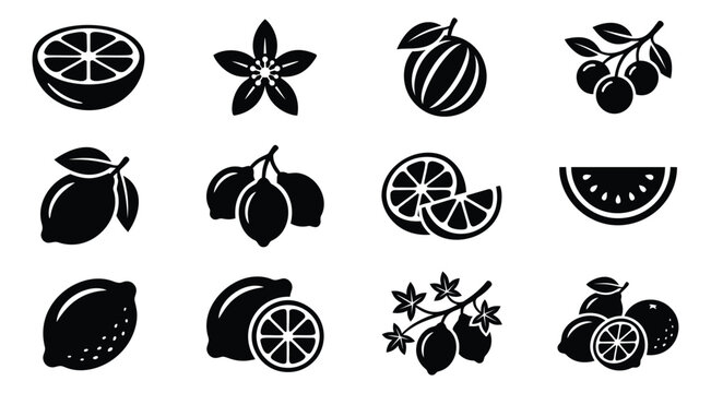Silhouette icon set of 12 citrus fruits featuring lemon, lime, watermelon and star anise for food and beverage design