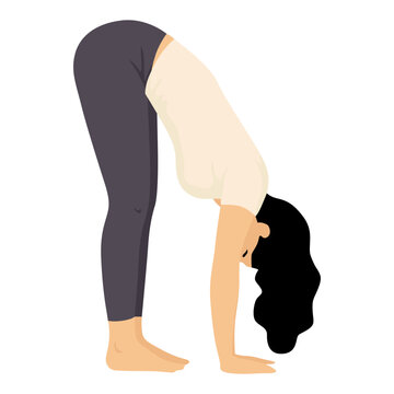 Vector illustration of a woman performing the uttanasana standing forward bend yoga pose