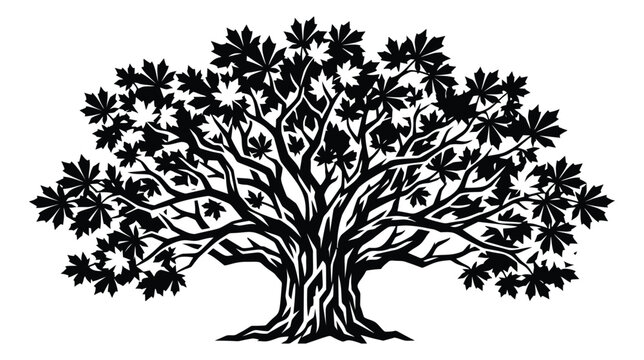 Silhouette illustration of a spreading oak tree depicting wide branching canopy with maple leaves for nature and botanical design