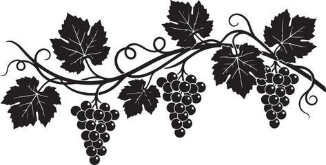 grapevine silhouette with leaves and grape clusters decorative vector illustration © Mohaiminul