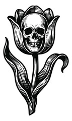 Fototapeta premium Woodcut illustration of a skull tulip depicting dark floral gothic imagery for tattoo and horror design