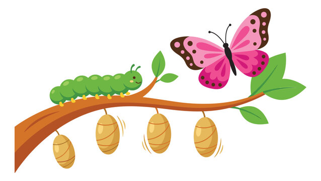 Cartoon illustration of butterfly life cycle depicting caterpillar cocoon and metamorphosis on branch for nature and education design