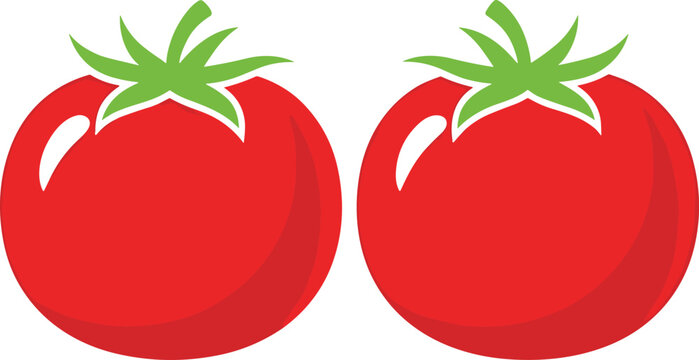 Vector tomato illustration with glossy highlights, stylized red tomatoes side by side, healthy food artwork, organic vegetable design, fresh produce clipart collection