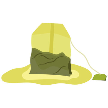 used green tea bag, soaked tea bag.