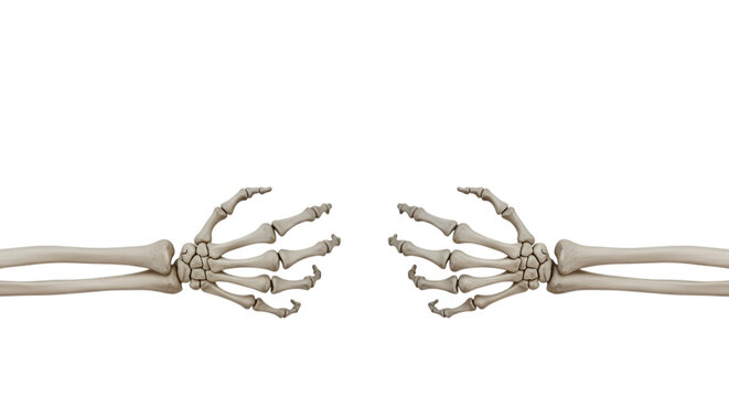 Skeletal Hands Forming a Whisk Shape on a Black Background