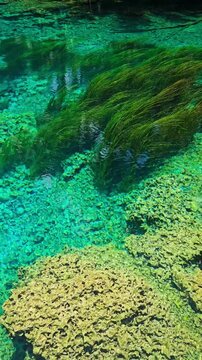 Paisu pok lake with crystal water. Remote destination in Sulawesi, Indonesia. Vertical screen