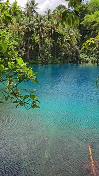 Paisu pok lake with transparent water. Remote destination in Sulawesi, Indonesia. Vertical screen