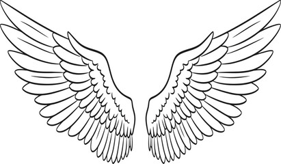 Fototapeta premium A pair of symmetrical wings illustrated in a minimalist line drawing style Vector