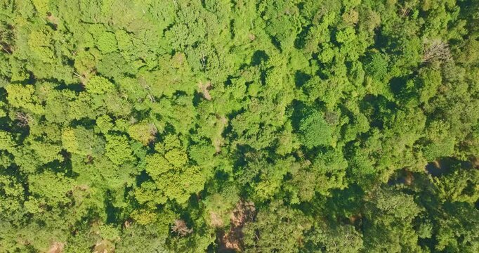 Drone view of Tat Huang Waterfall, the Thai Lao Friendship Waterfall, located in Na Haeo District, Loei. Surrounded by dense rainforest and mountains, this cross-border waterfall is a hidden gem