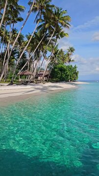 Paradise sandy beach with palm trees and quiet sea on tropical island.