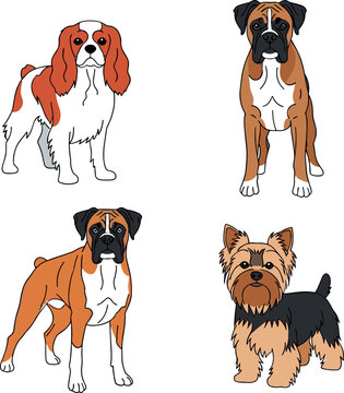 Cartoon Dog Icon Set Featuring Various Breeds Including Cavalier King Charles Spaniel, Boxer, and Yorkshire Terrier