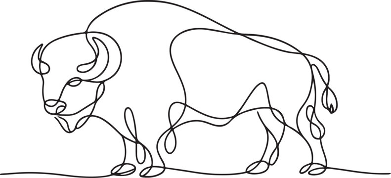 Detailed bison wildlife line drawing illustration with natural anatomy rustic western animal art concept