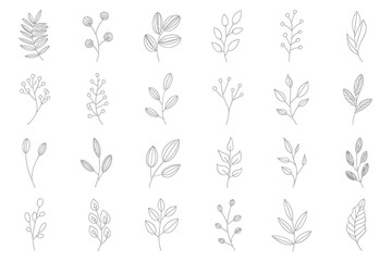 Fototapeta premium A collection of delicate hand drawn botanical illustrations featuring various leaf and stem arrangements high quality
