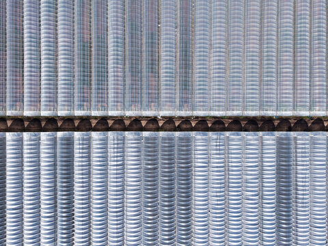 Aerial view of greenhouses stretching out under the sun, their glass roofs reflecting the sky above, creating an intricate pattern of light and shadow, Stafford, England, United Kingdom.