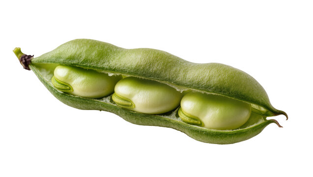 Green broad bean pod with three plump beans, isolated on transparent background