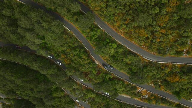 Aerial view of winding roads through lush green hills, showcasing sharp turns and contrasting shadows, creating a dynamic landscape, Spiljari, Montenegro.