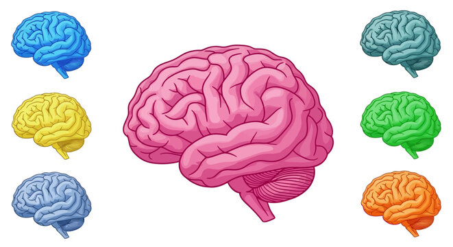 Colorful brain collection: diverse artistic interpretations of human anatomy