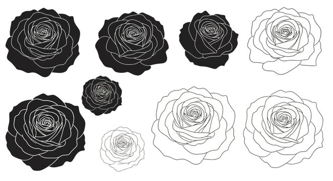 Stylized rose designs: black and white flower collection