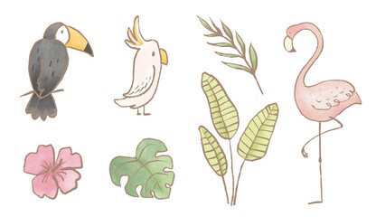 Naklejka premium Beautiful stock illustrations set with cute toucan flamingo parrot birds with tropical leaves. Safari animal clip art. Isolated naive style drawing. Childish hand drawn painting.