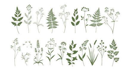 Minimalist botanical line art collection, hand drawn wild flowers and forest fern leaves, 20 green floral vector elements for wedding stationery © FATEMA