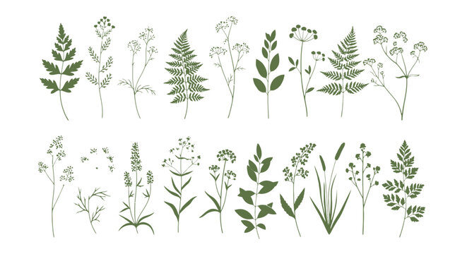Minimalist botanical line art collection, hand drawn wild flowers and forest fern leaves, 20 green floral vector elements for wedding stationery