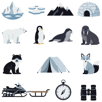 Arctic landscape with polar bear penguin seal walrus and igloo