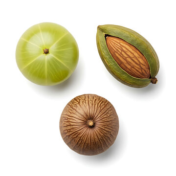 Top view of a fresh green amla berry, an almond in a split green husk, and a textured brown soapnut reetha